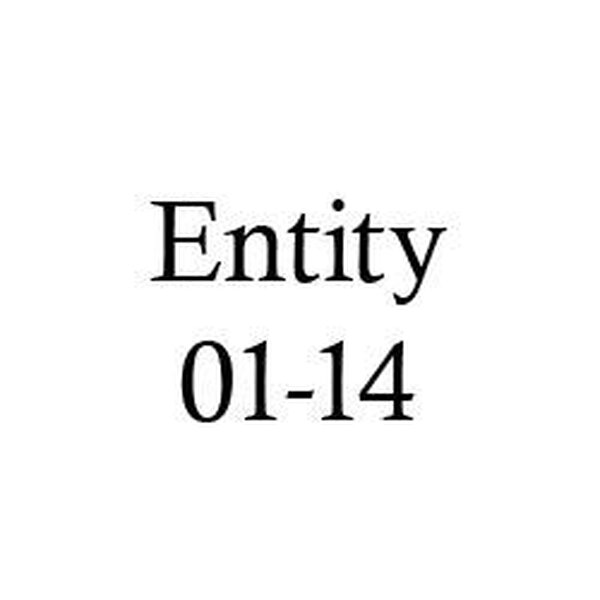 entity01 14