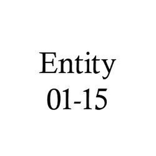 entity01 15